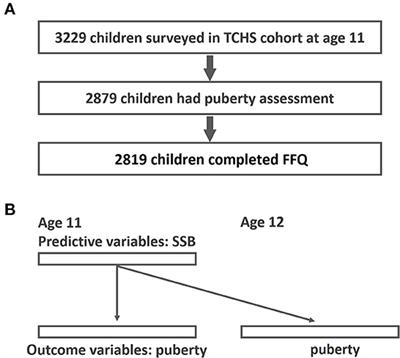 Association of the consumption of common drinks with early puberty in both sexes